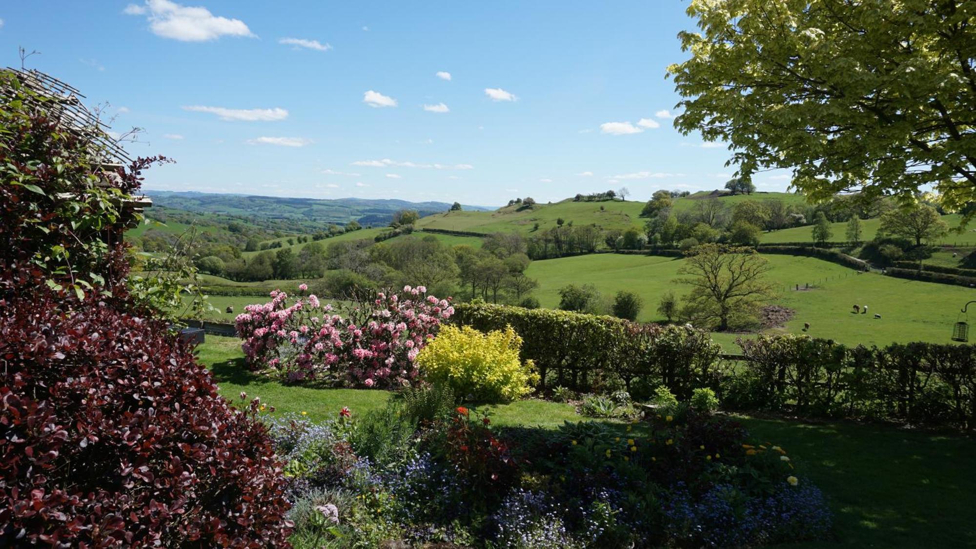 Sheep Dip Cottage - 5* Cyfie Farm, With Log Burner And Private Hot Tub Llanfyllin Екстериор снимка